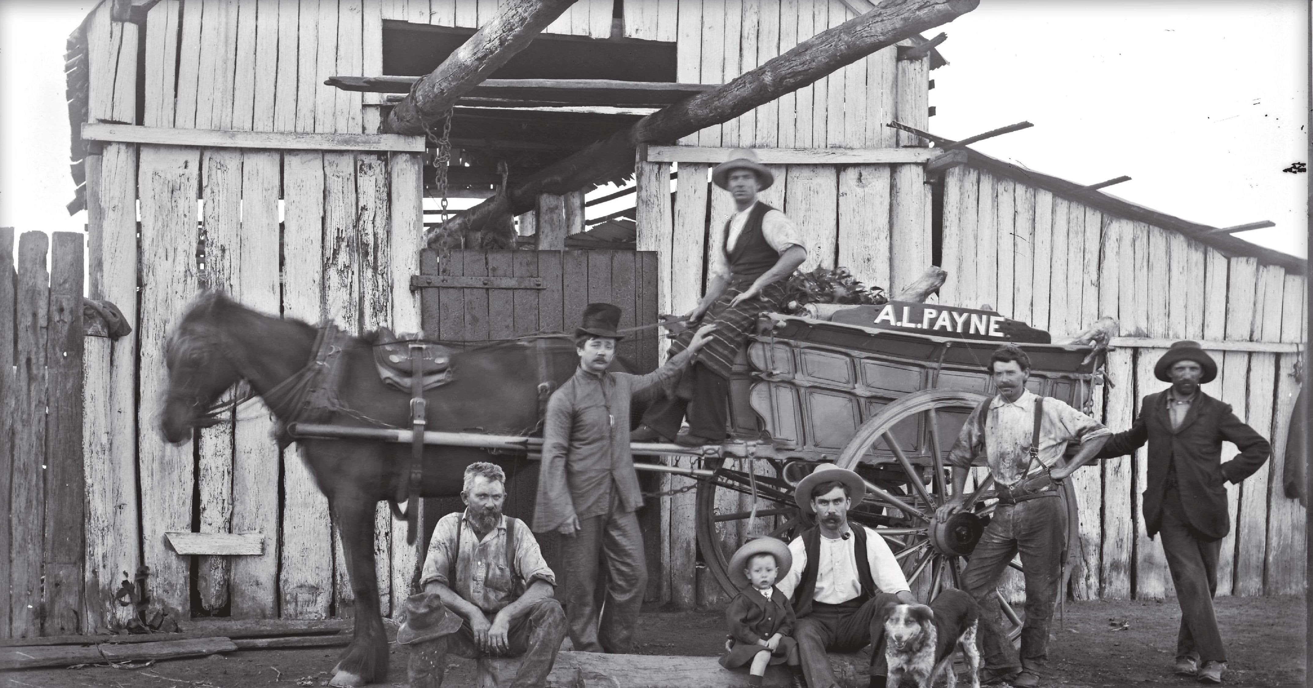 The slaughterhouse that A L Payne established in the 1870s to supply meat to his butcher shops. Exact location uncertain. Photo by Ralph Snowball.